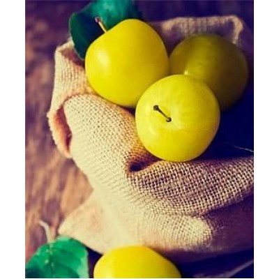 Саженец сливы "Белая медовая" Саженец сливы "Белая медовая"