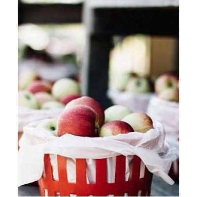 Саженец яблони "Чемпион Арно" Саженец яблони "Чемпион Арно"